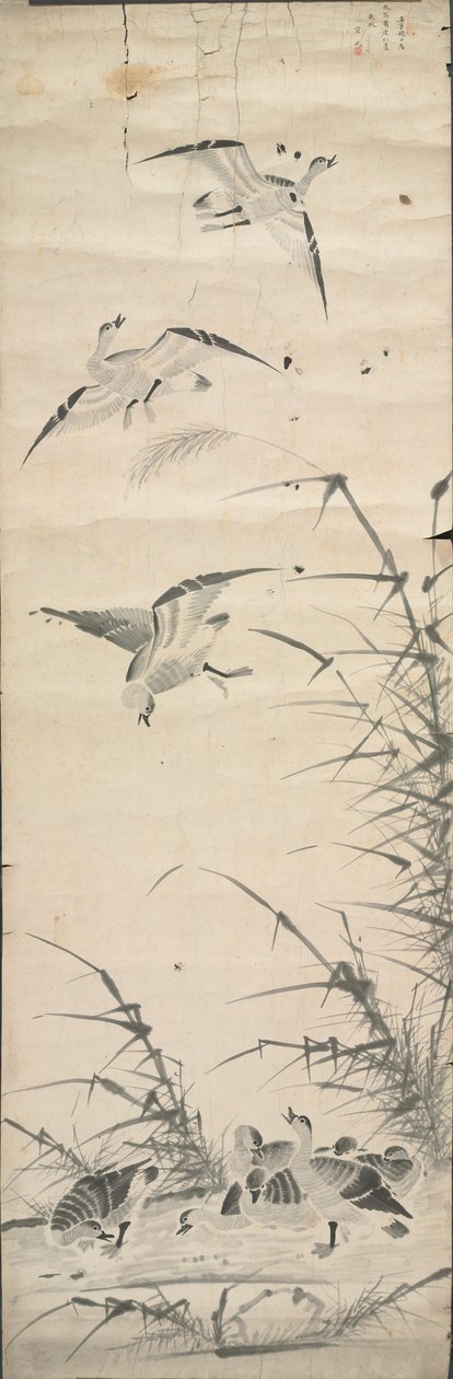 Wilde Ganzen en Riet, 1392-1910 door Unbekannt