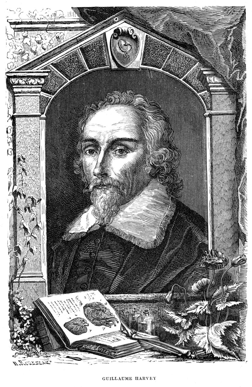 William Harvey 1578-1657 Engelse arts, c17e eeuw door Unbekannt