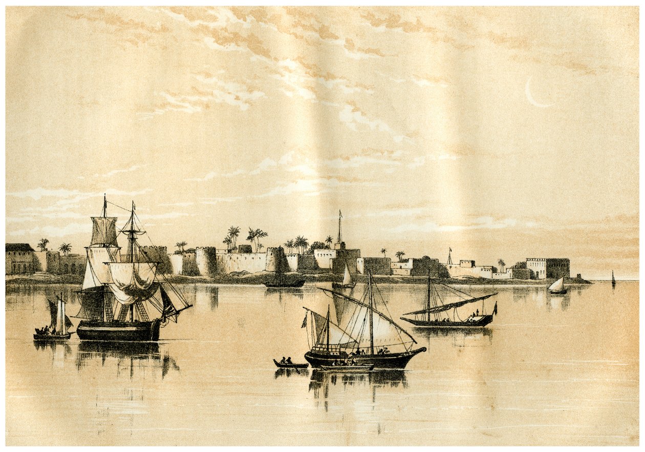 Zanzibar vanaf de zee, 1883 door Unbekannt