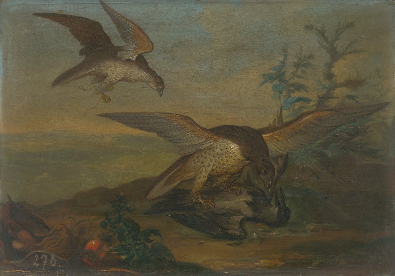 Vogelgevecht door Unbekannt