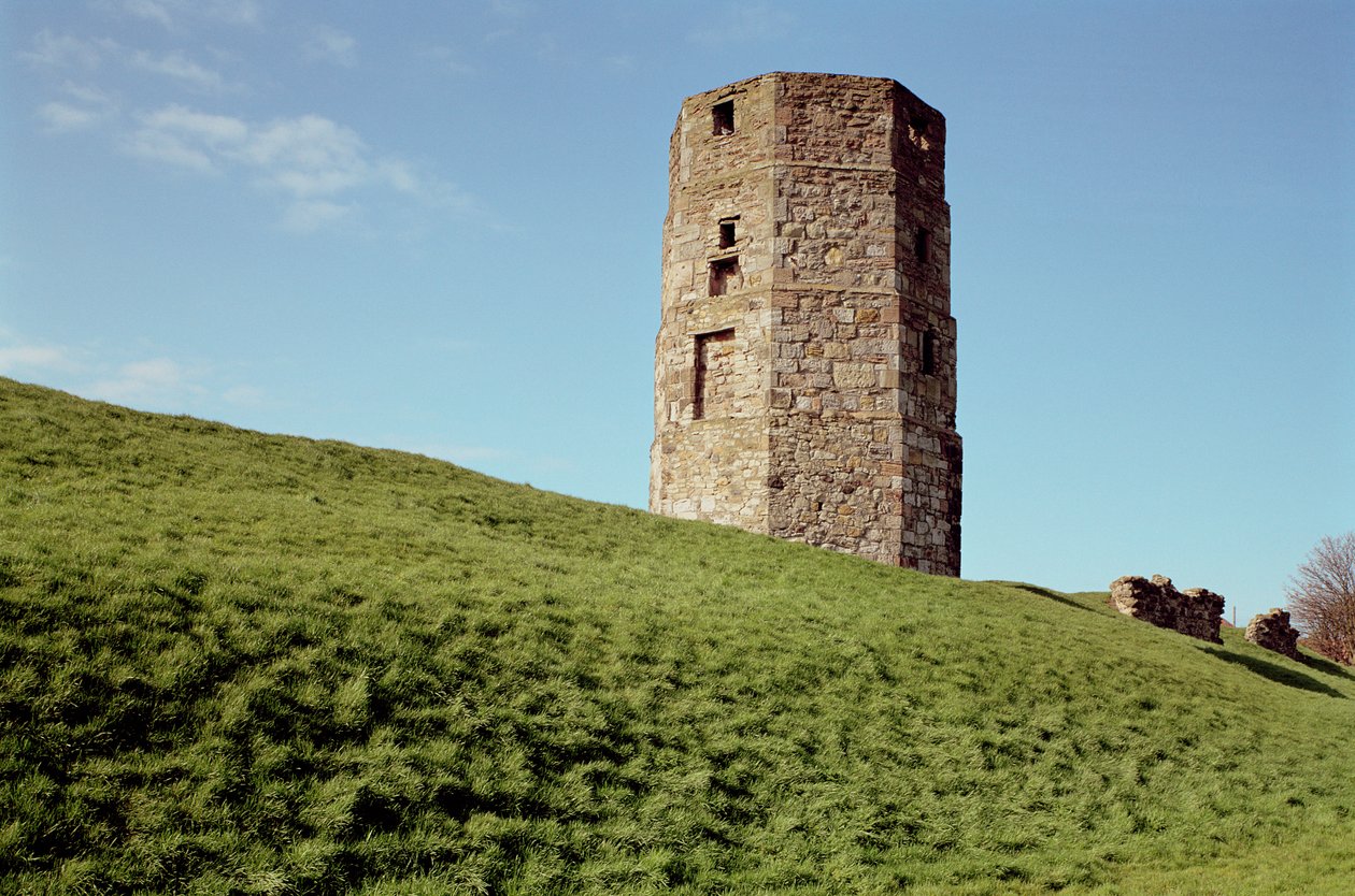 Cow Tower, Berwick, Northumberland door Unbekannt Unbekannt