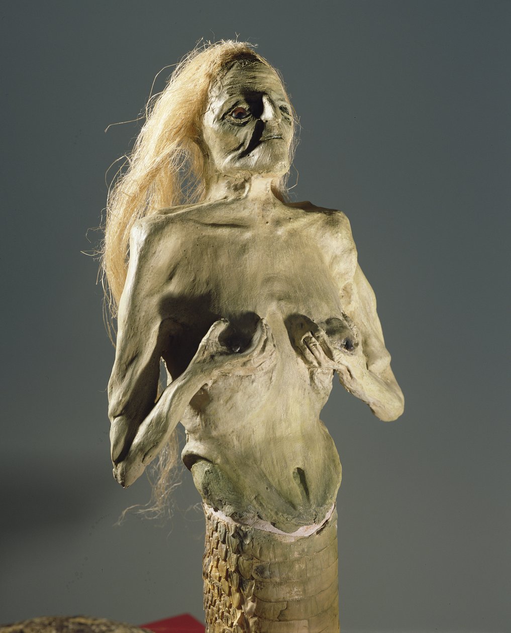 Half-vrouw, half-slang wezen, nakomeling van Melusine, 1900 door Unbekannt Unbekannt