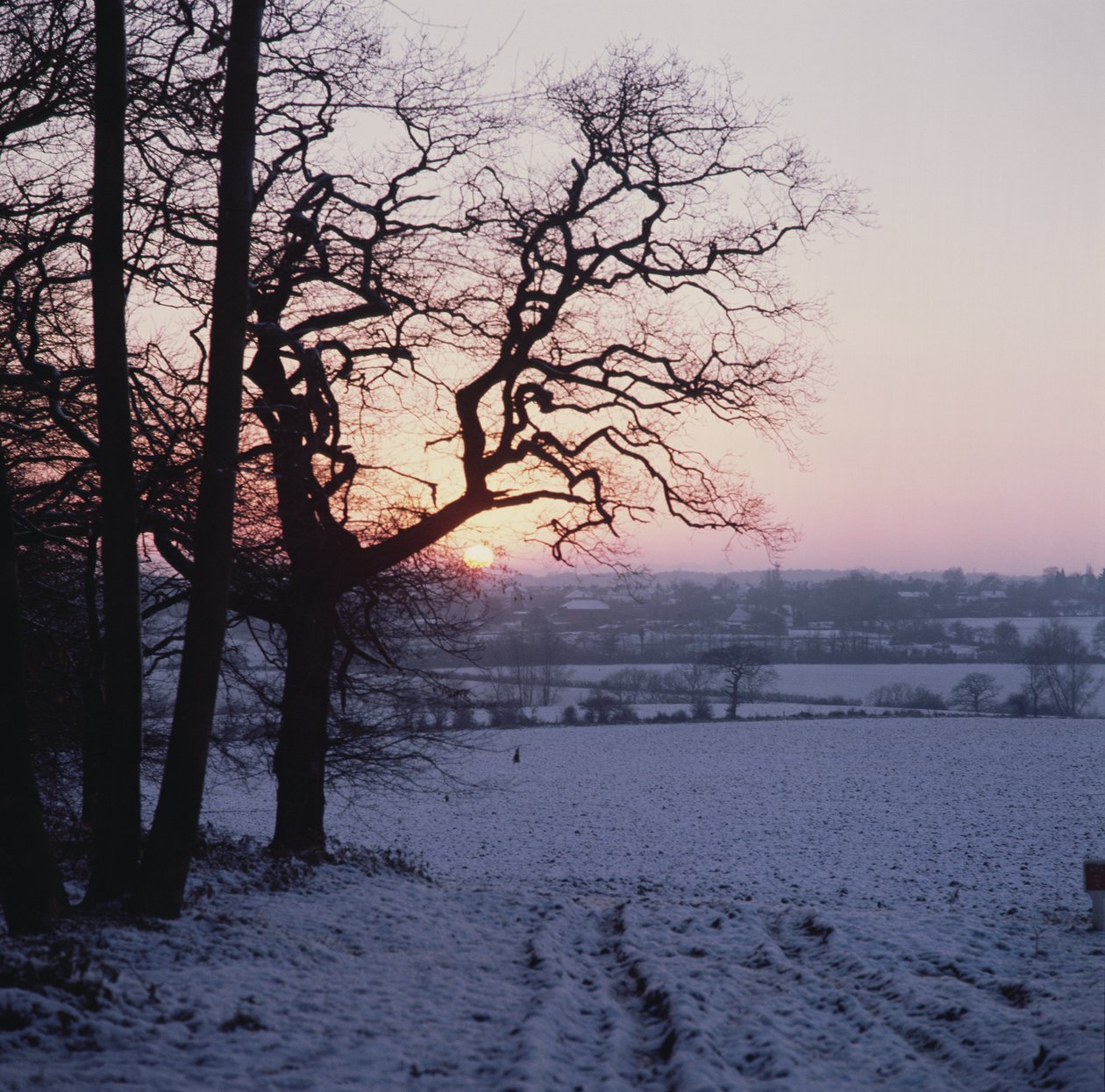 Winterscène in de sneeuw, Hockley, Essex door Unbekannt Unbekannt
