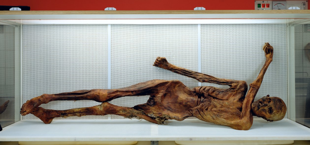De Oetzi Iceman door Unbekannt Unbekannt