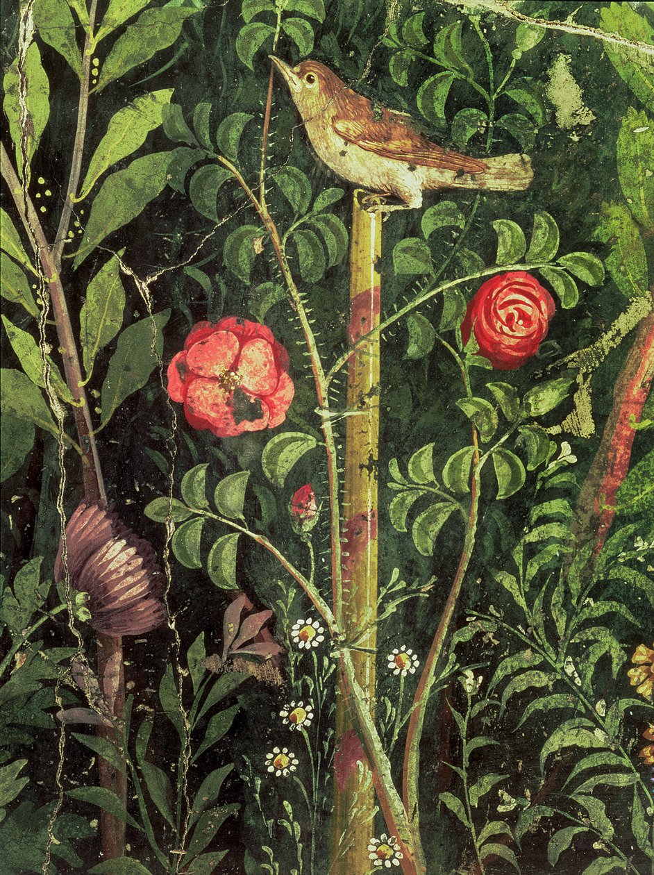 Muurschildering van een vogel in een tuin, Pompeii, 1e eeuw n.Chr. door Unbekannt Unbekannt