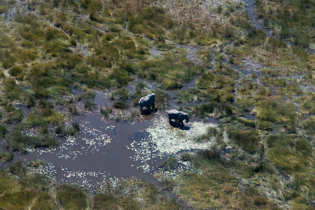 Luchtfoto