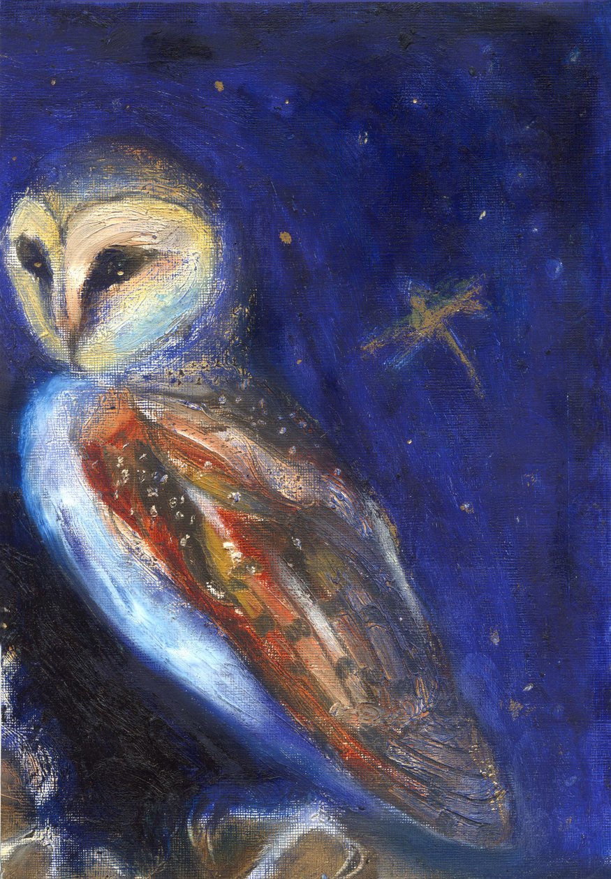 De Uil en de Gouden Libelle, 2013 door Unbekannt Unbekannt