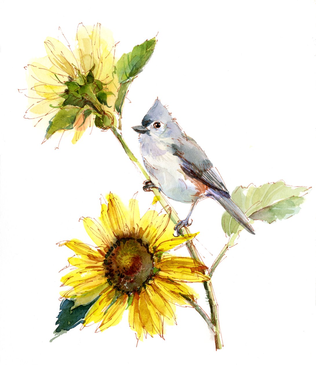 Mees met zonnebloem, 2016 door Unbekannt Unbekannt