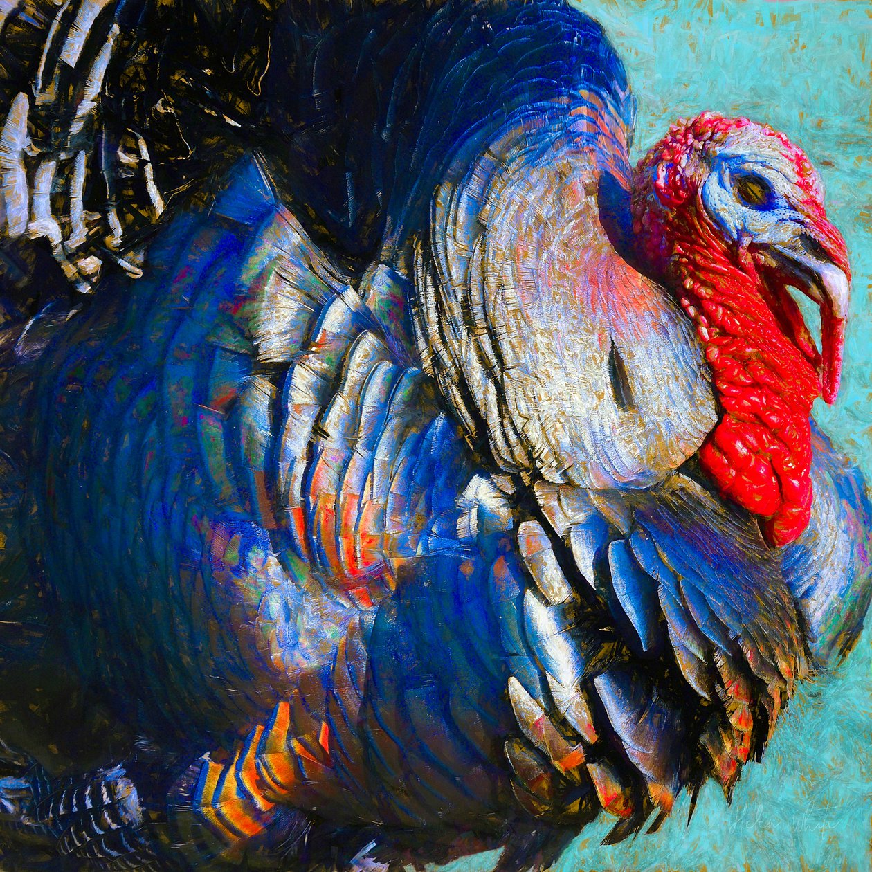 Turkey Lurky, 2018 door Unbekannt Unbekannt