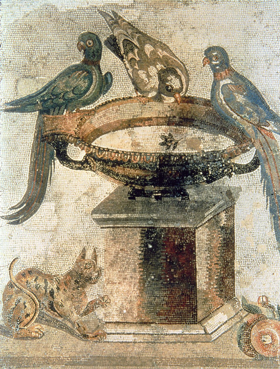 Vogels en een loerende kat, uit Pompeii door Unbekannter Künstler