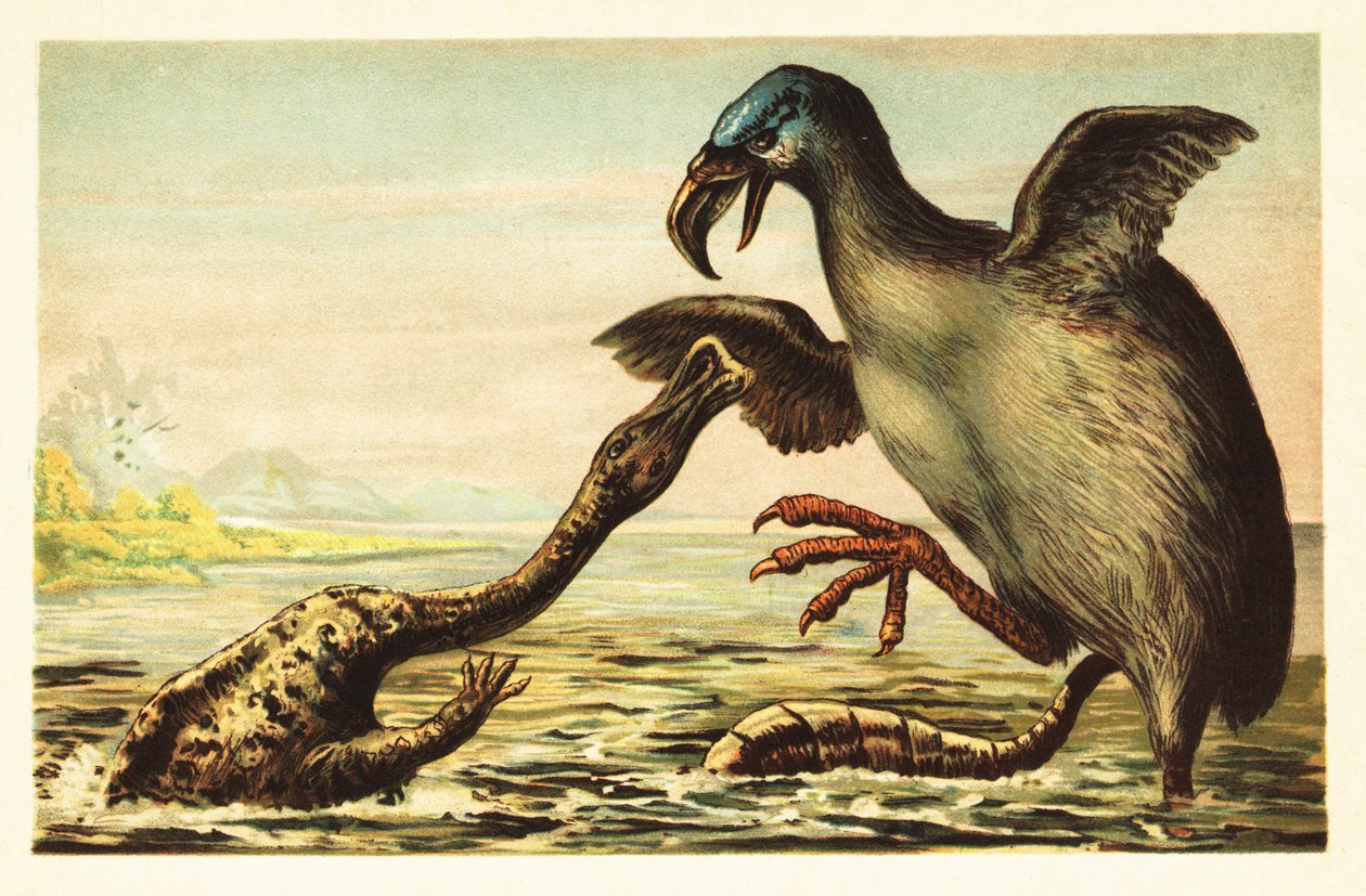 Brontornis vecht met een Hadrosaurus. 1908 (lithografie) door Unbekannter Künstler