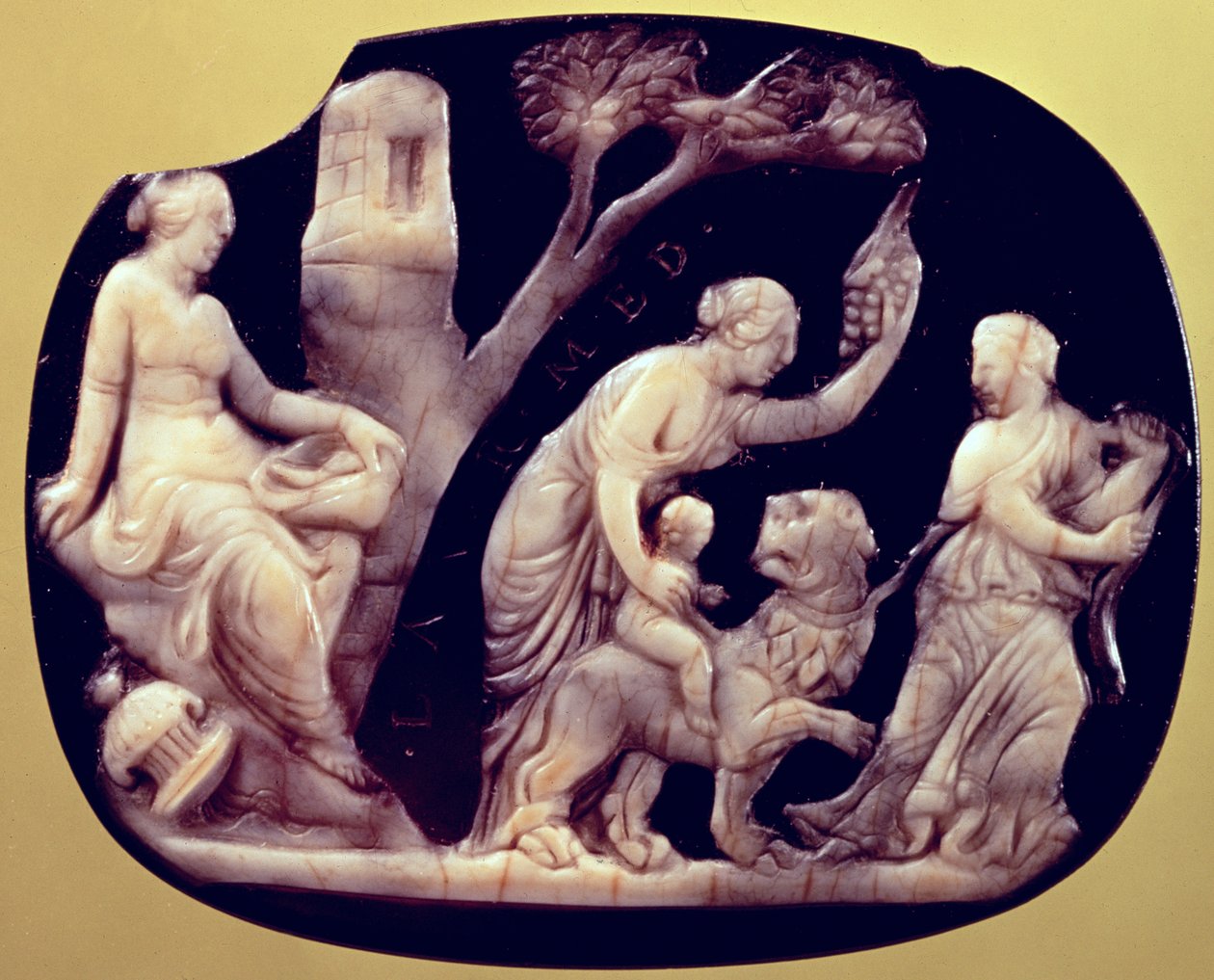Camee van de jeugd van Dionysus door Unbekannt