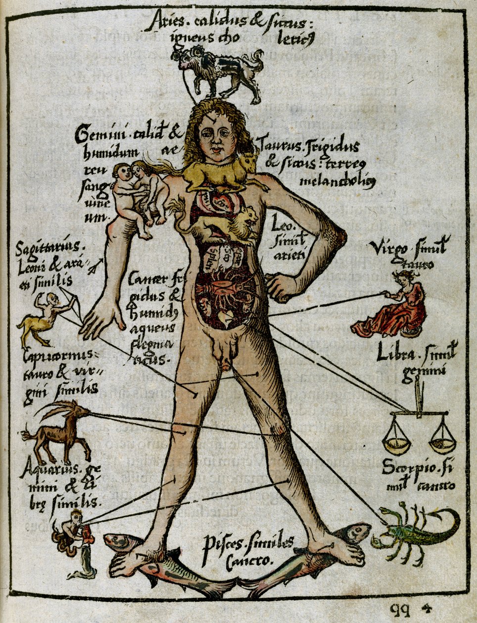Kosmografie 16e eeuw: de zodiakale man door Unbekannt