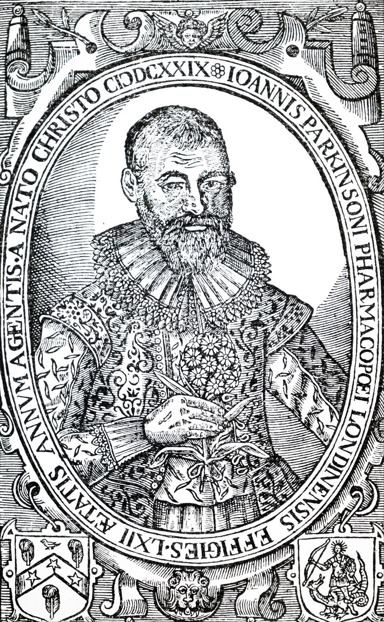 John Parkinson door Unbekannt