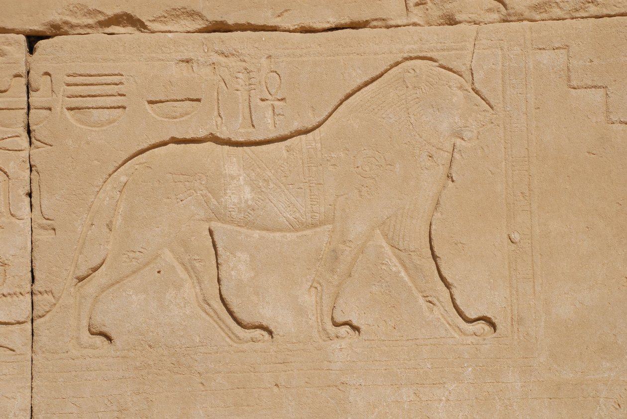 Leeuwenbeeldhouwwerk, Karnak, Luxor, Egypte door Unbekannt