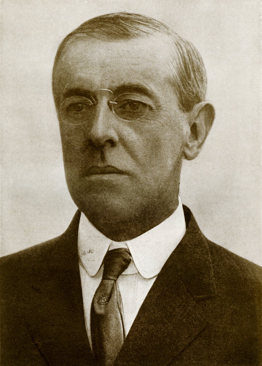 President Woodrow Wilson door Unbekannter Künstler