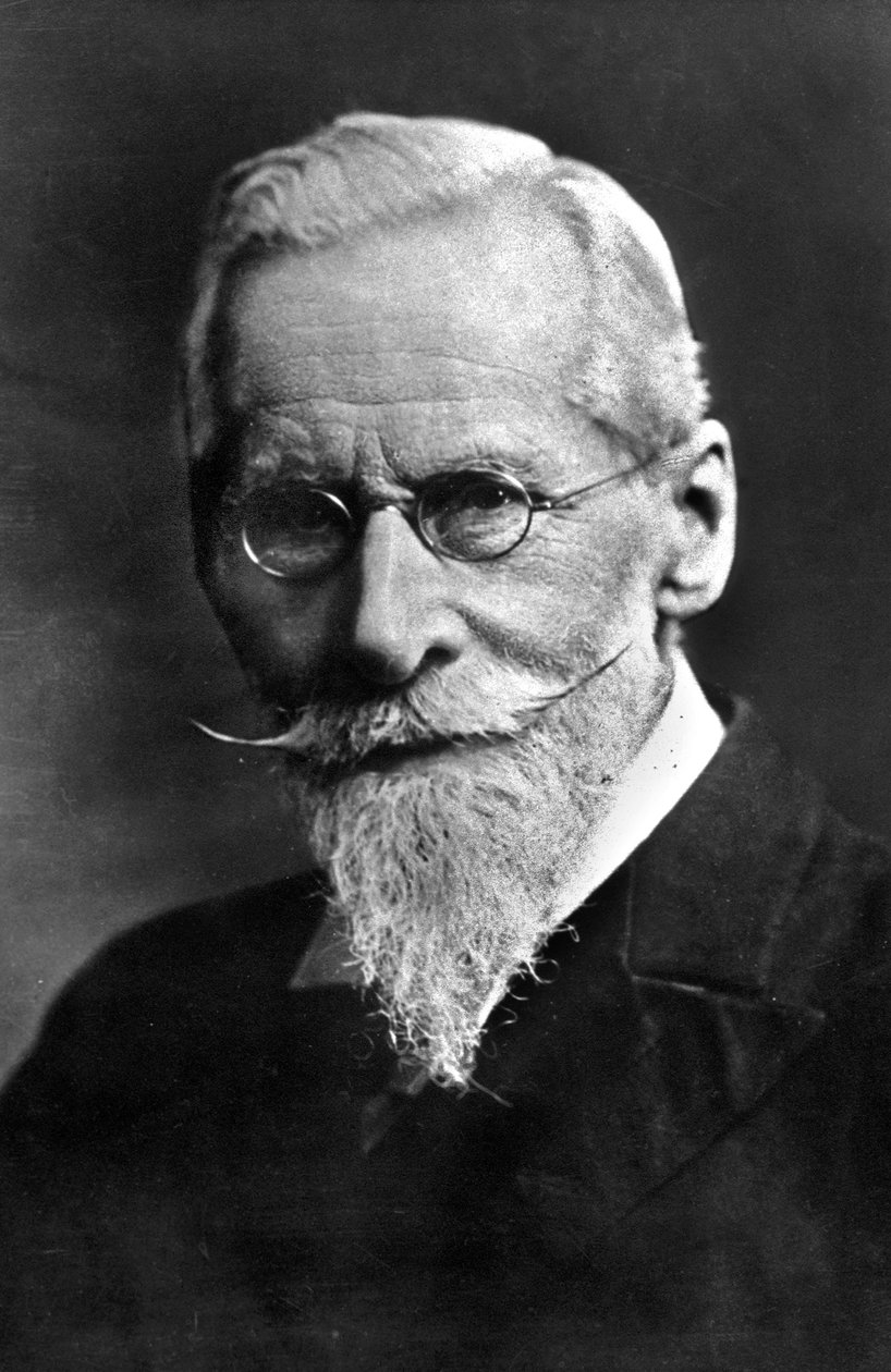 Sir William Crookes (1832-1919) Engelse wetenschapper door Unbekannter Künstler