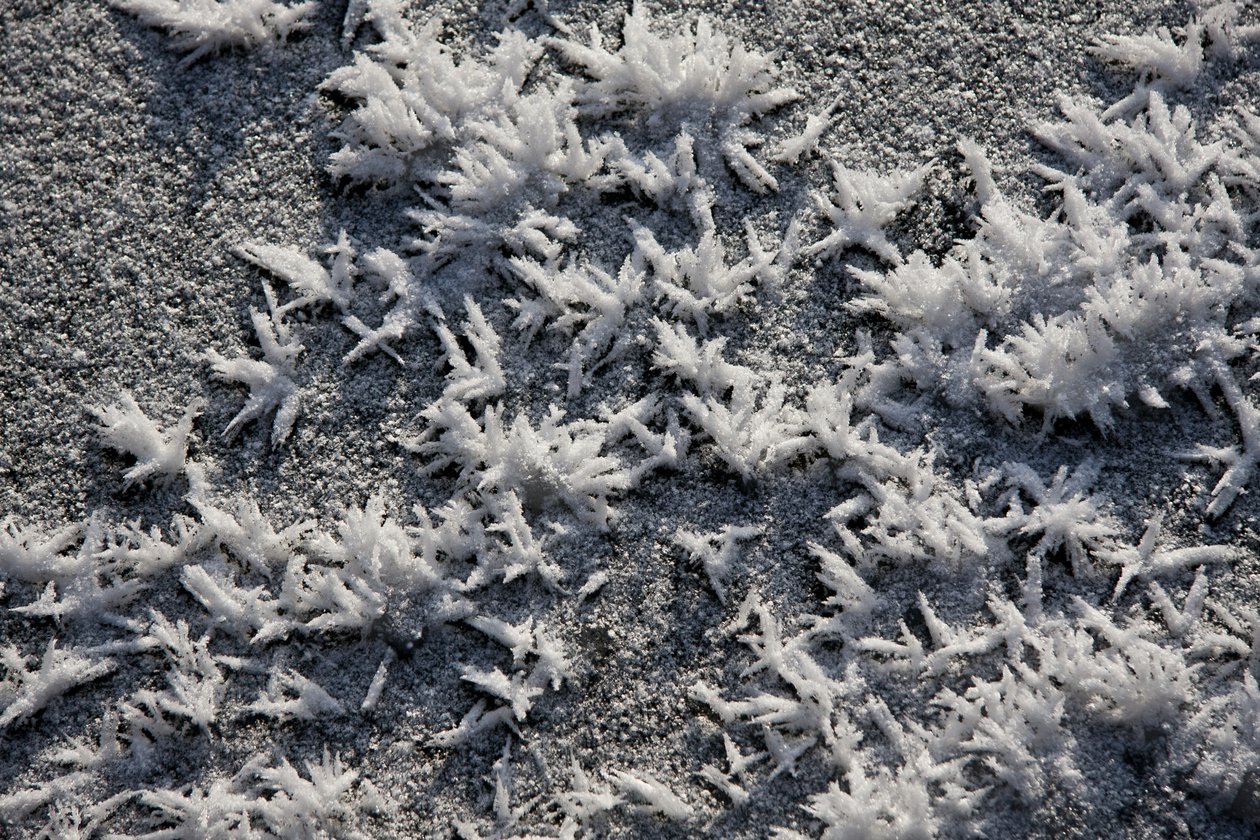 Sneeuw en IJs door Unbekannter Künstler
