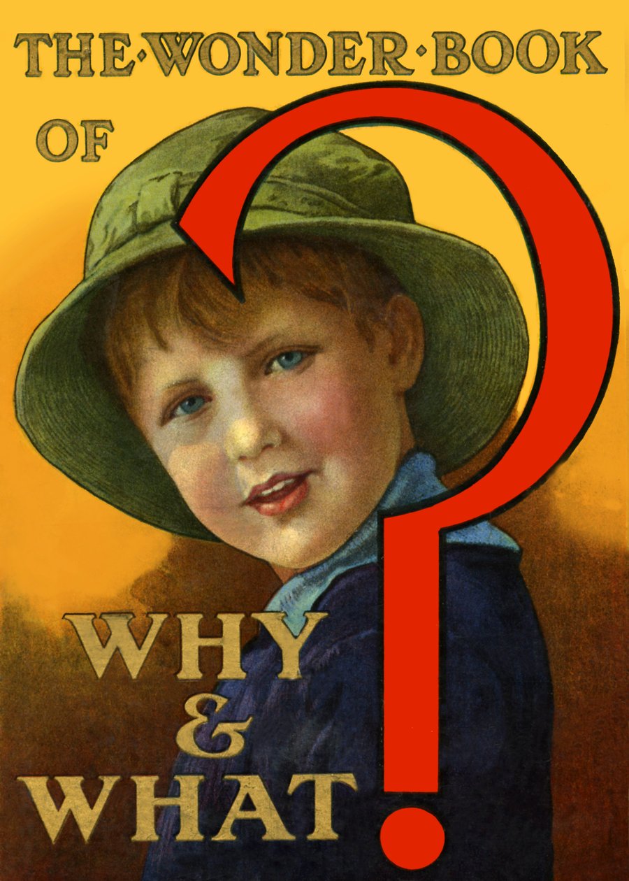 Het Wonderboek van Waarom en Wat door Unbekannt