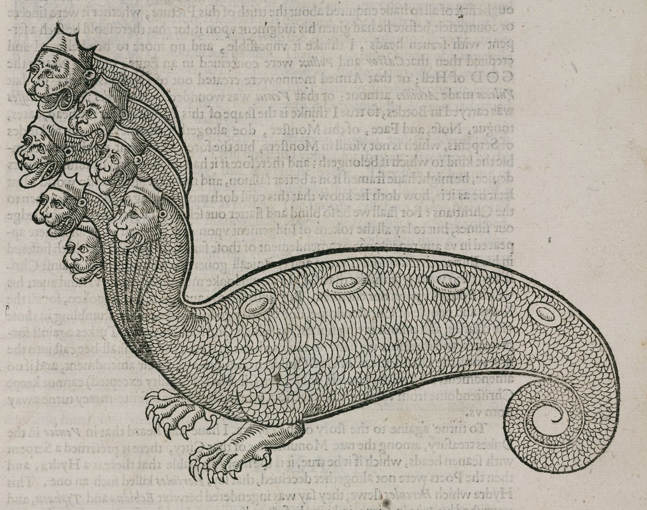 De hydra door Unbekannt