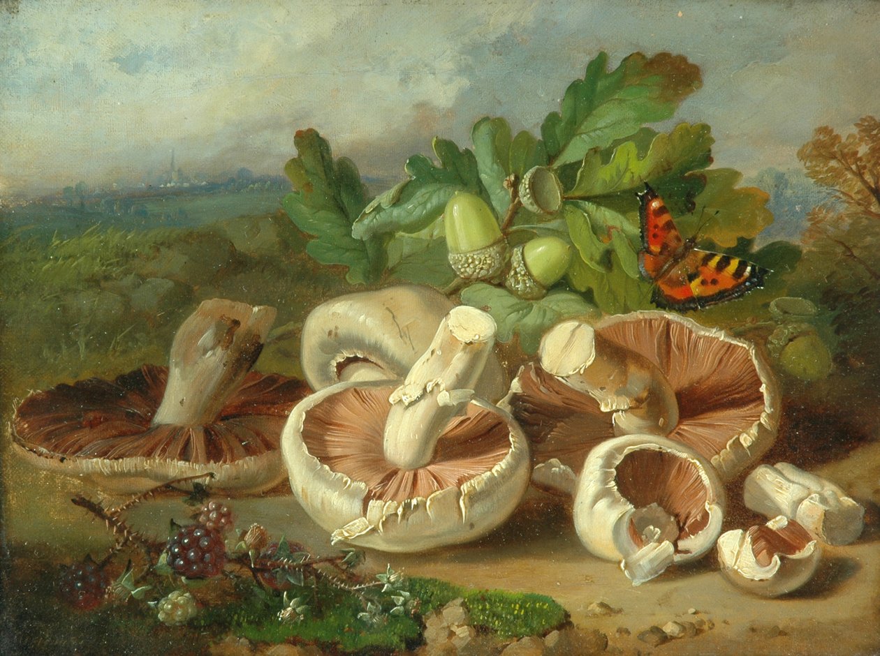 Stilleven met Paddenstoelen enz., 1859 door Unknown