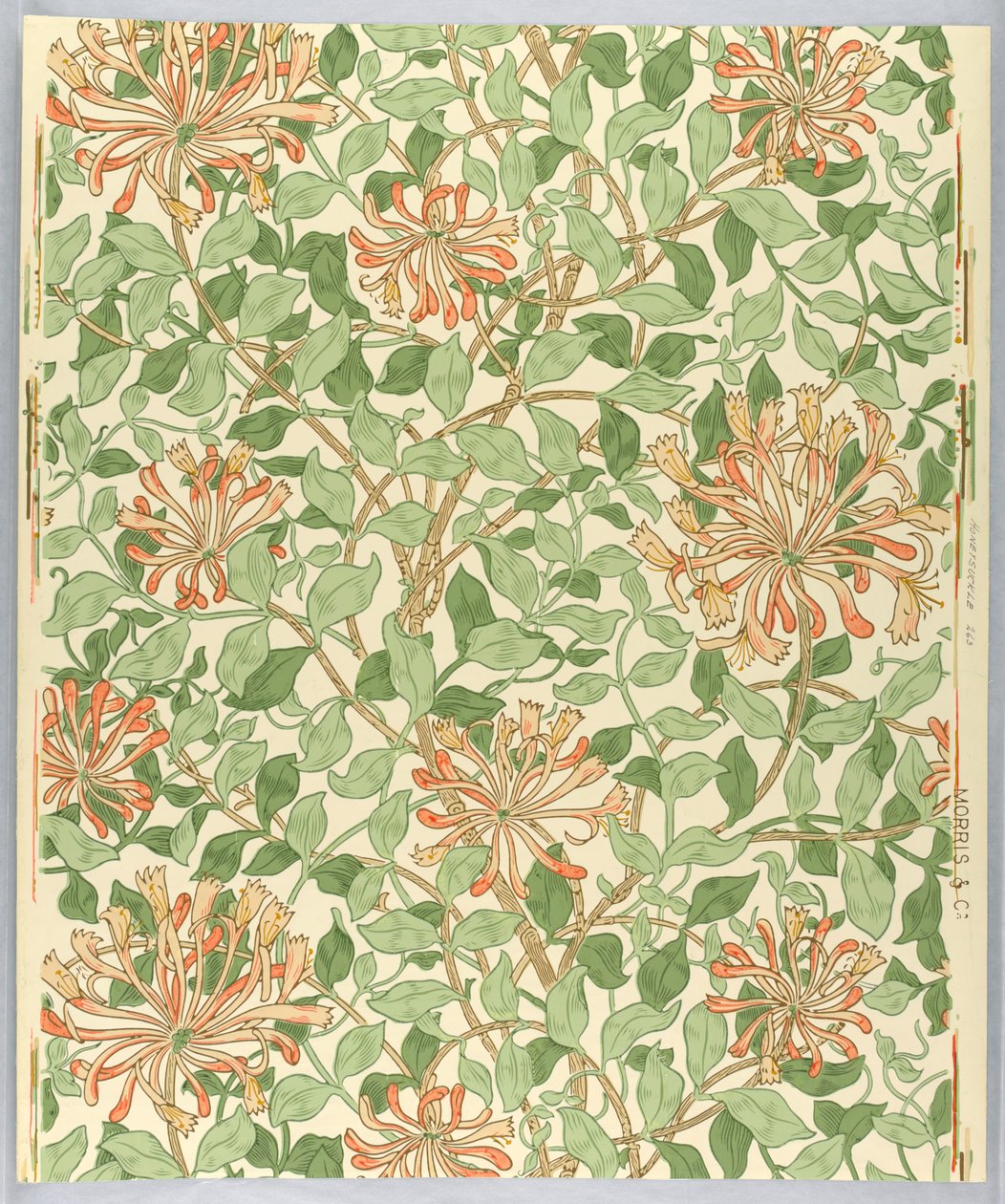 Wandbekleding, Kamperfoelie, 1883 door Unknown