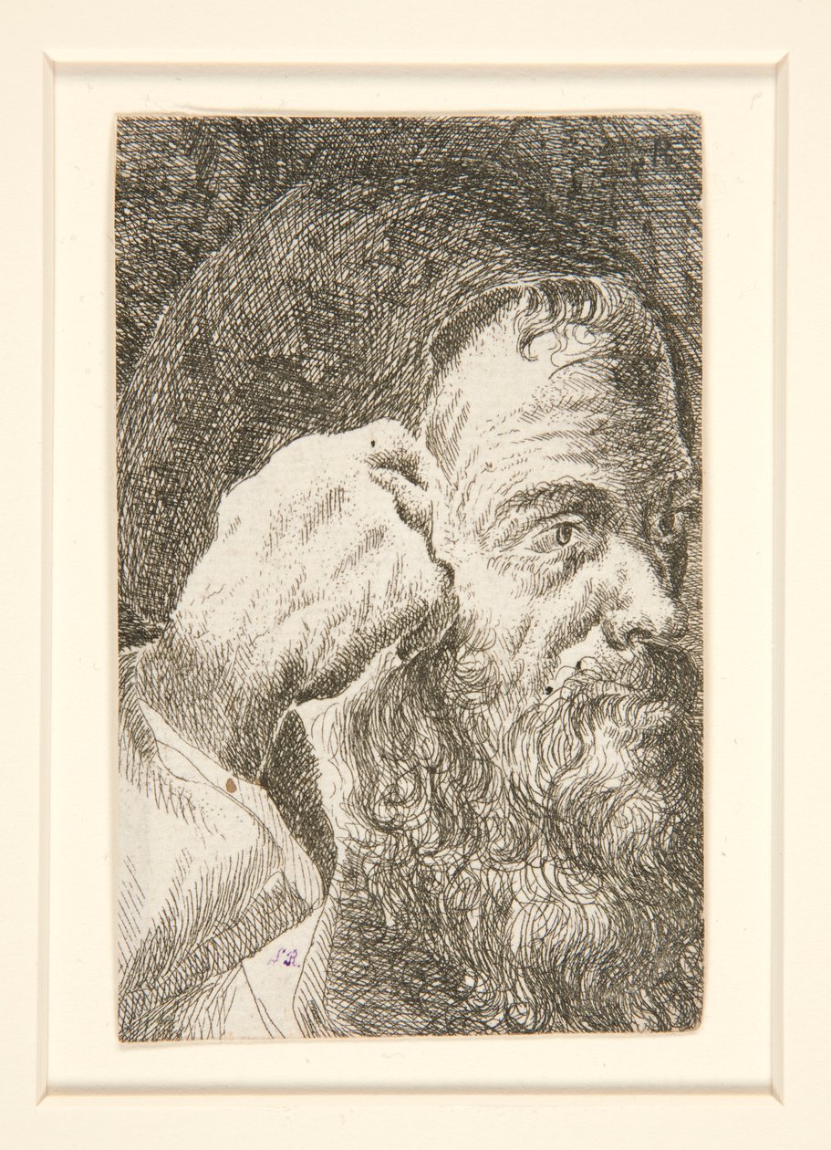 Zonder Titel (Hoofd van een Bebaarde Man) door Unknown