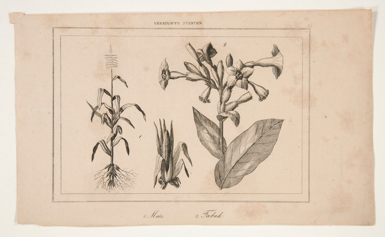 Naamloos (Studie van Amerikaanse landbouw) door Unknown