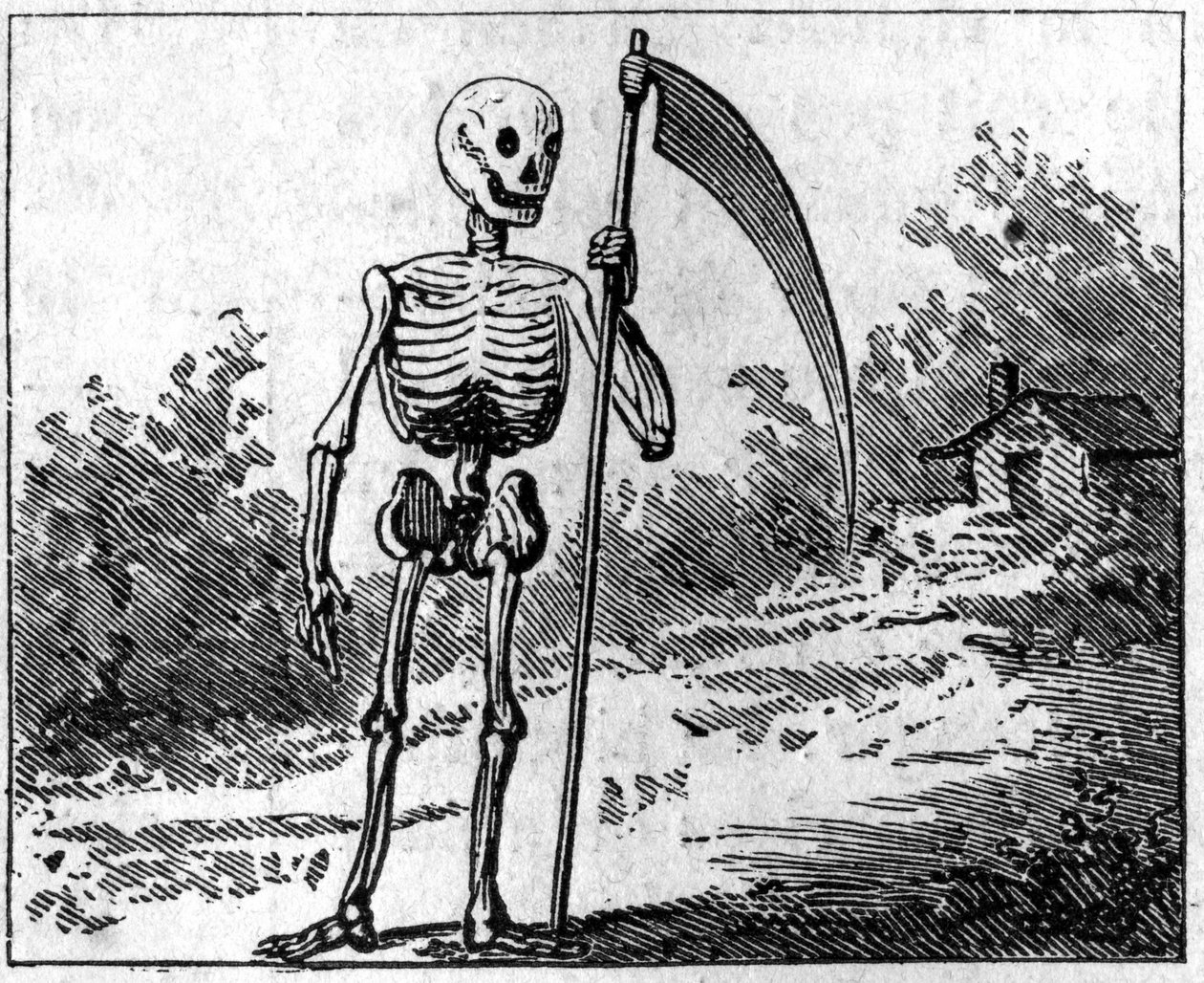 Dood afgebeeld met een zeis. door Unknown artist