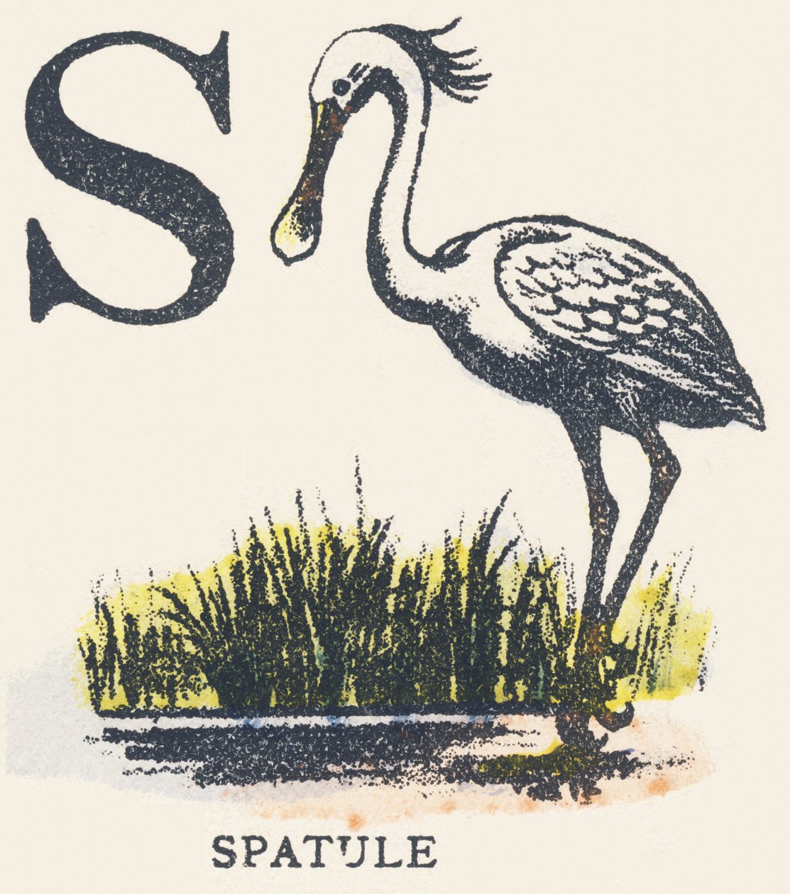 S: spatel door Unknown artist