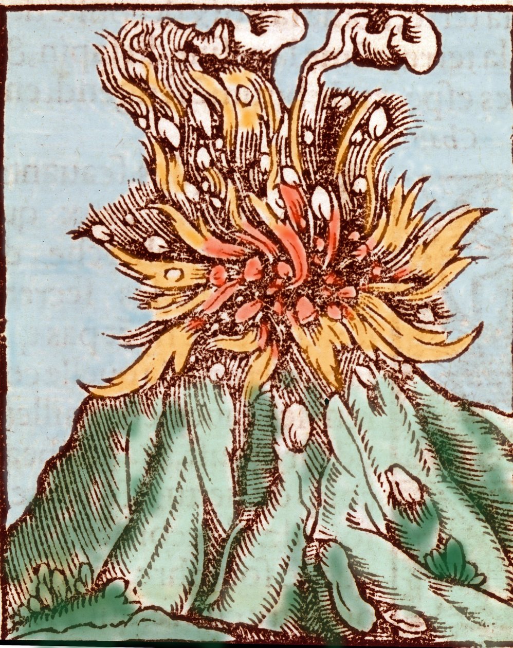 Uitbarsting van een vulkaan. 16e-eeuwse gravure. door Unknown artist