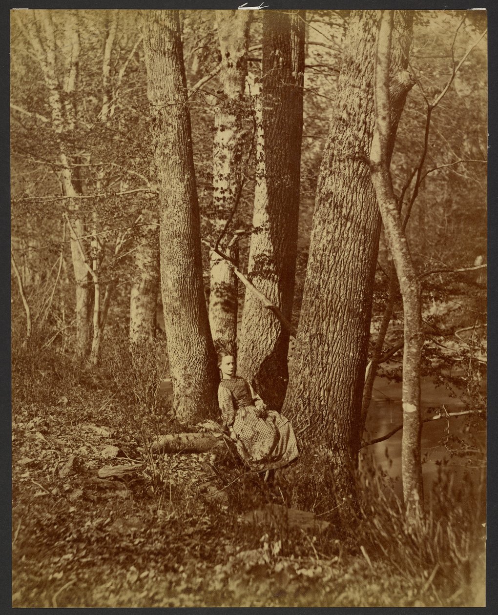 [Meisje zittend tussen bomen] door Unknown artist