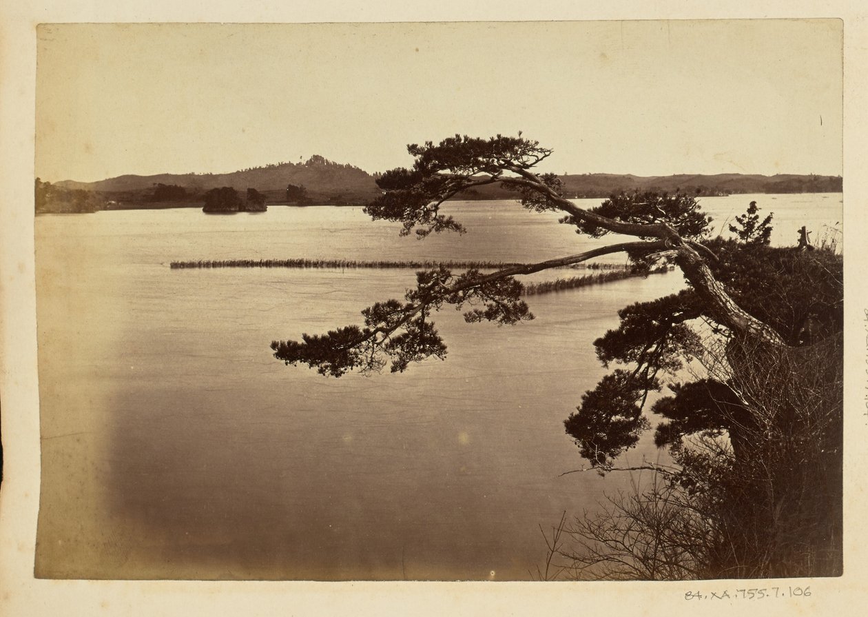 [Landschap met meer en bomen] door Unknown artist