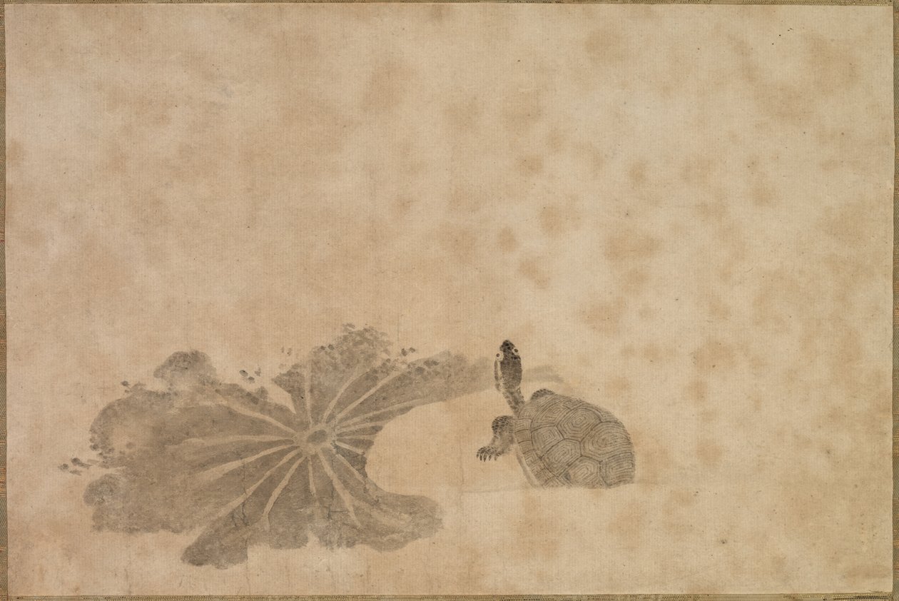 Schildpad in een lotusvijver door Unknown artist