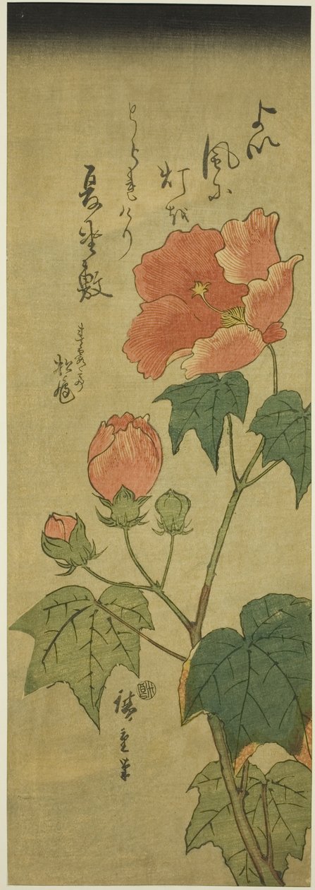 Hibiscus door Utagawa Hiroshige