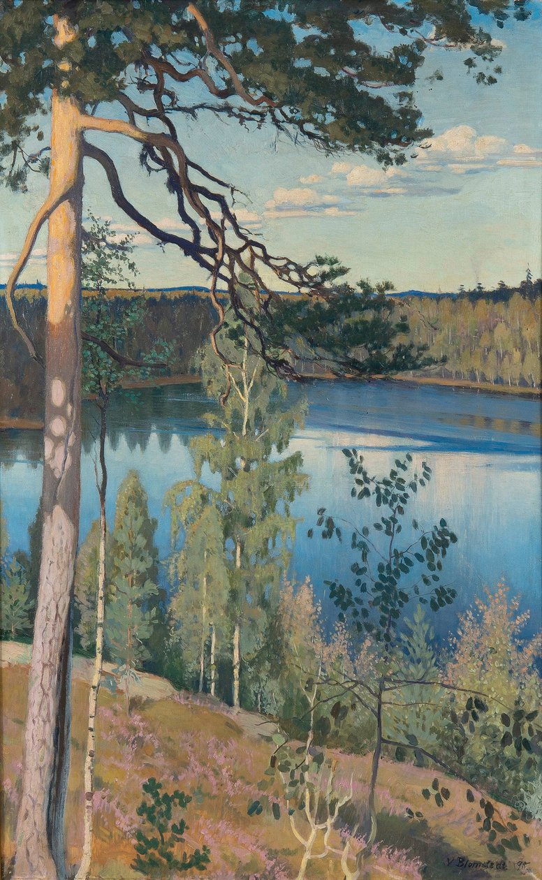 Meer in de Wildernis, 1895 door Väinö Alfred Blomstedt