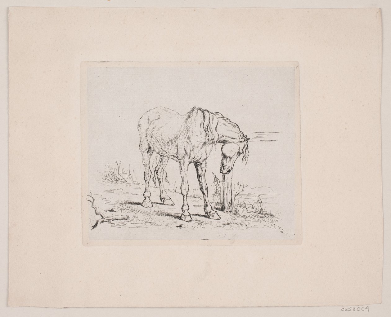 Een oud paard door Valdemar Irminger