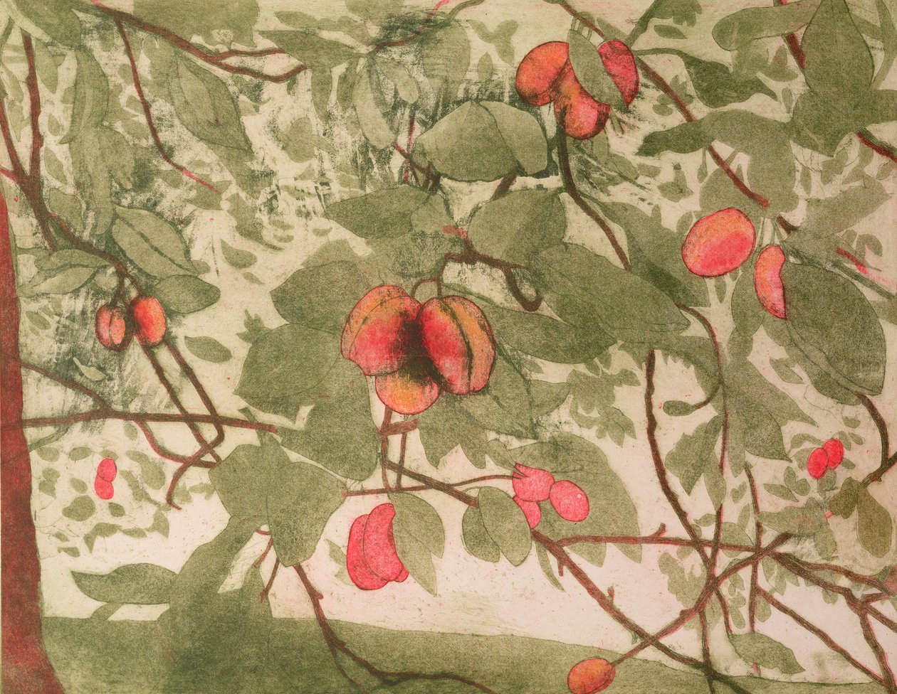 Pruimen door Valerie Daniel