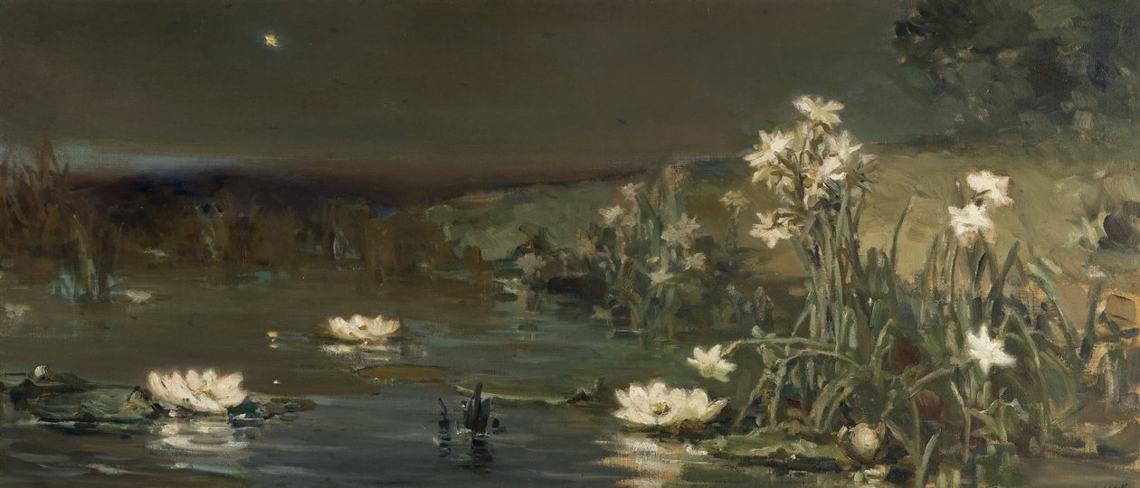 Ster in de Nacht door Vasilii Kotarbinsky