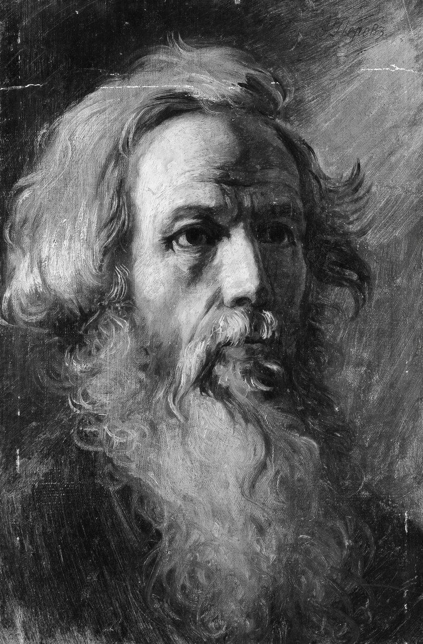 Hoofd van een man door Vasily Perov