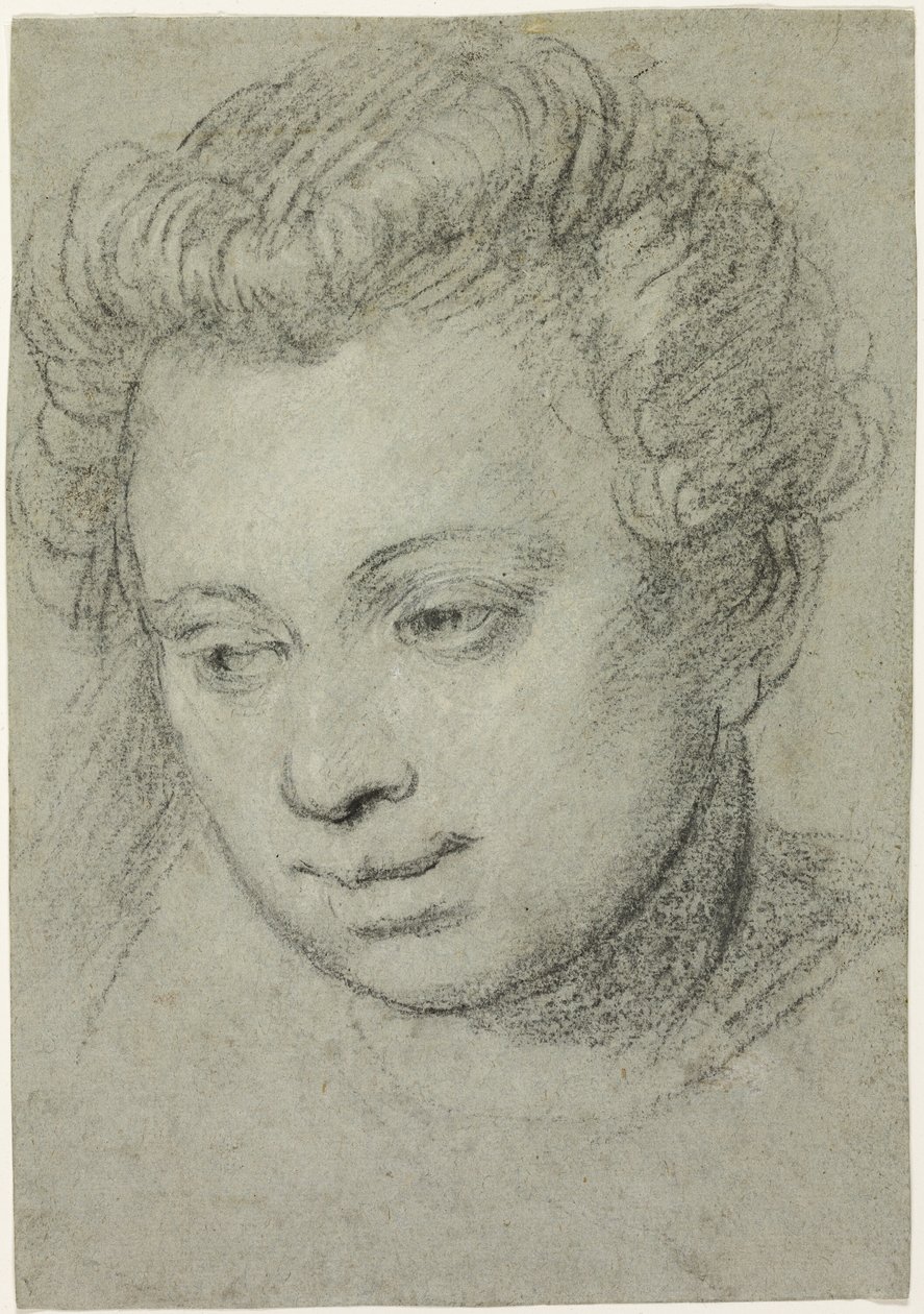 Hoofd van een vrouw door Veronese (Paolo Caliari)