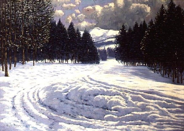 Slee Sporen in een Besneeuwde Open plek door Victor Olgyai