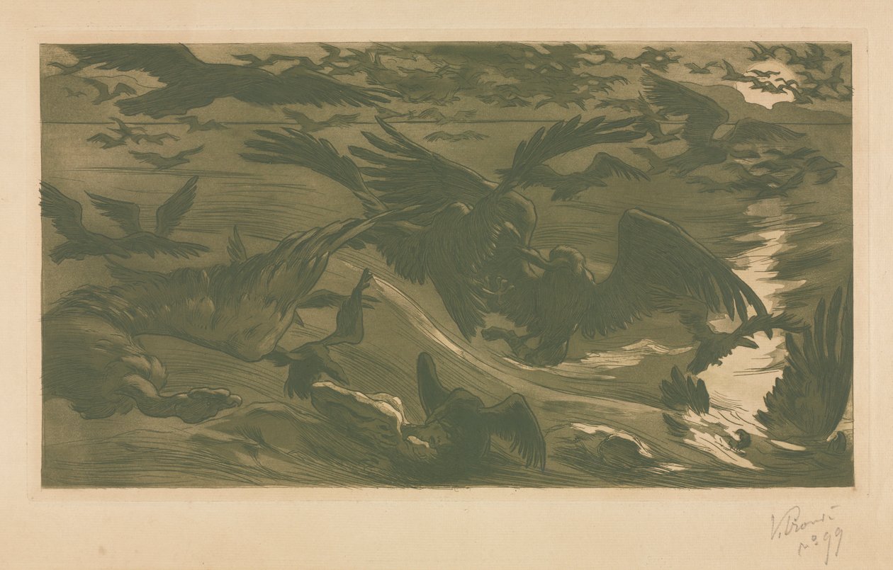 Roofvogels door Victor Emile Prouve