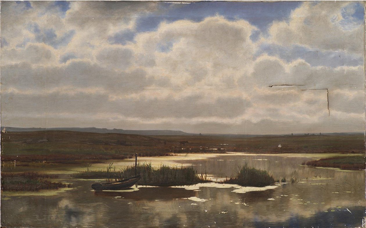 Heide met een moeras door Vilhelm Groth