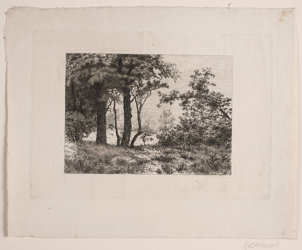 Eikenbomen aan de rand van een bos door Vilhelm Kyhn