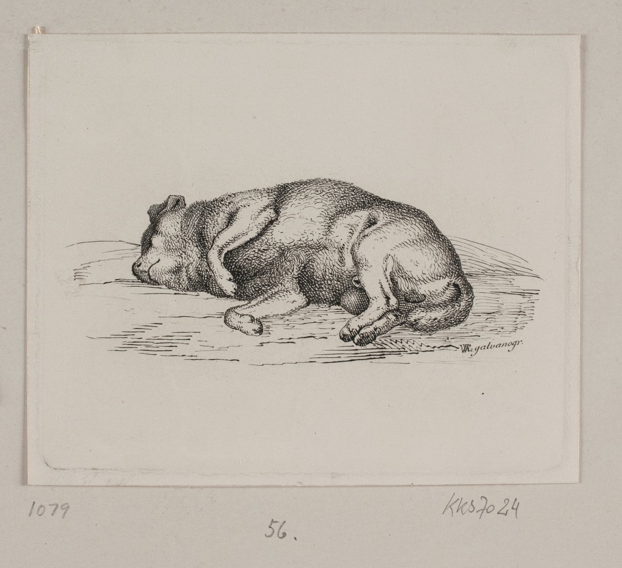 Een liggende hond door Vilhelm Kyhn