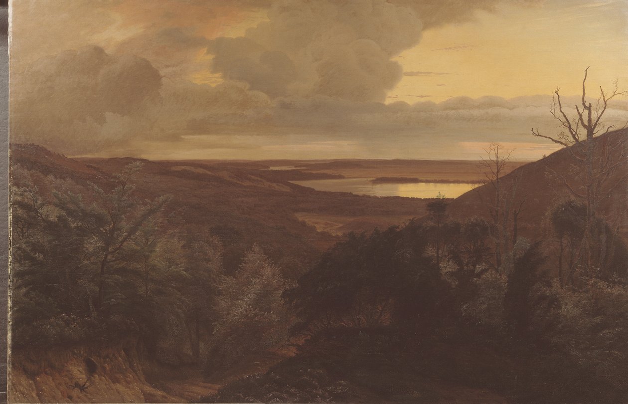 Late avond bij Himmelbjerget, Jutland door Vilhelm Kyhn