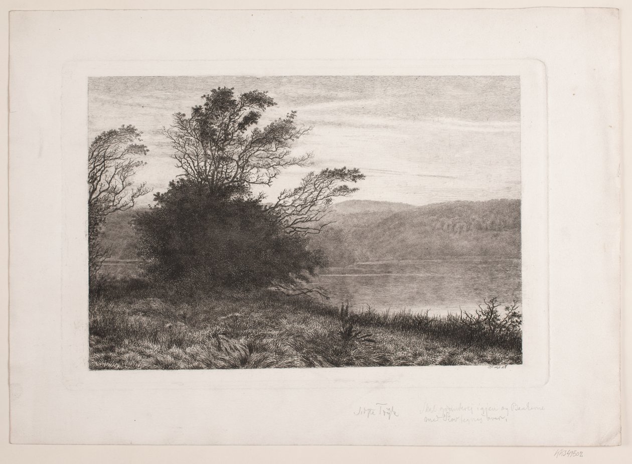 Rye Sø door Vilhelm Kyhn