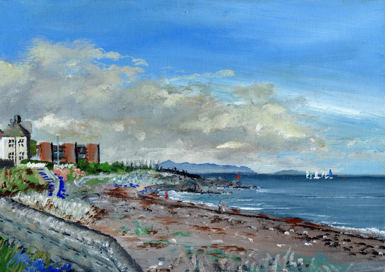 Greystones Ierland, 2001 door Vincent Alexander Booth