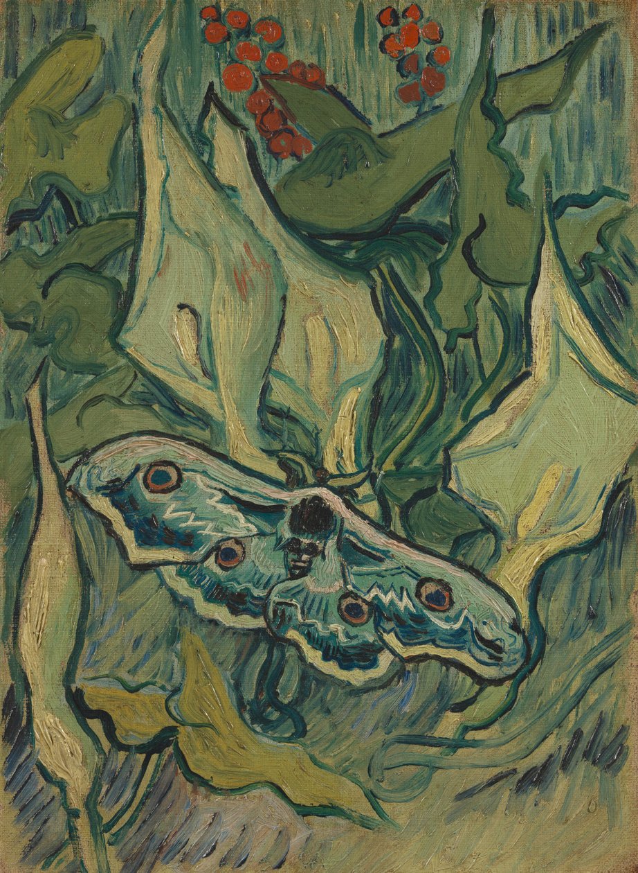 Reuzenpauwvlinder door Vincent van Gogh